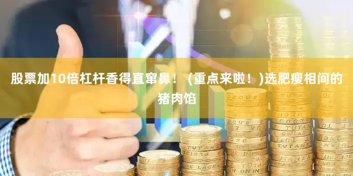 股票加10倍杠杆香得直窜鼻！ (重点来啦！)选肥瘦相间的猪肉馅