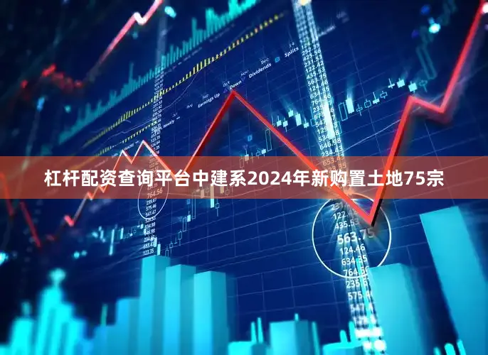 杠杆配资查询平台中建系2024年新购置土地75宗